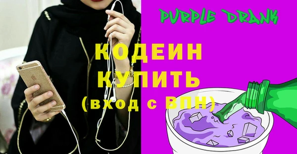 ГАЛЛЮЦИНОГЕННЫЕ ГРИБЫ Гусев