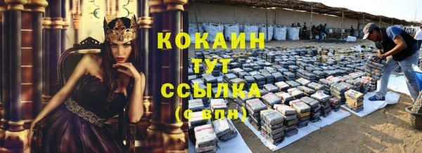 ГАЛЛЮЦИНОГЕННЫЕ ГРИБЫ Гусев