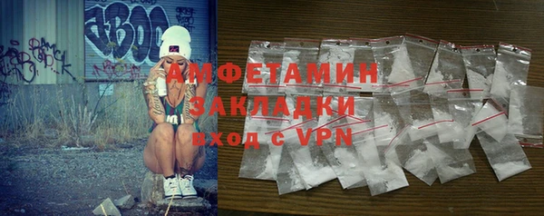 ГАЛЛЮЦИНОГЕННЫЕ ГРИБЫ Гусев