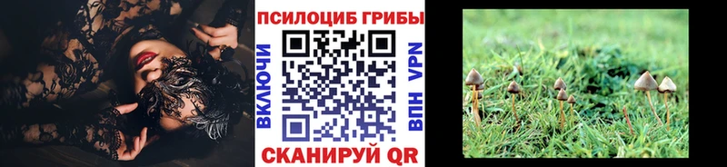 Галлюциногенные грибы Cubensis  Нелидово 